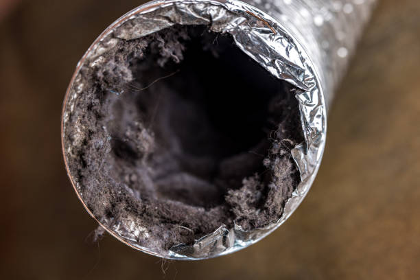 Best Air Duct Cleaning Near Me  in Holts Summit, MO